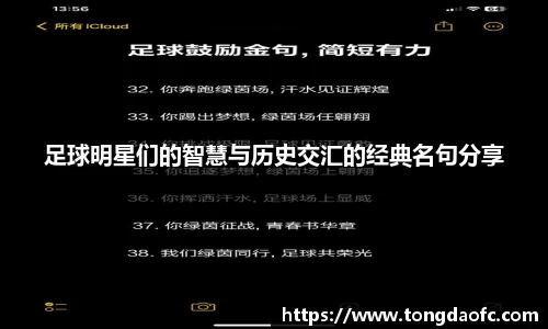 足球明星们的智慧与历史交汇的经典名句分享