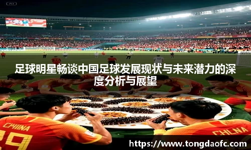 足球明星畅谈中国足球发展现状与未来潜力的深度分析与展望